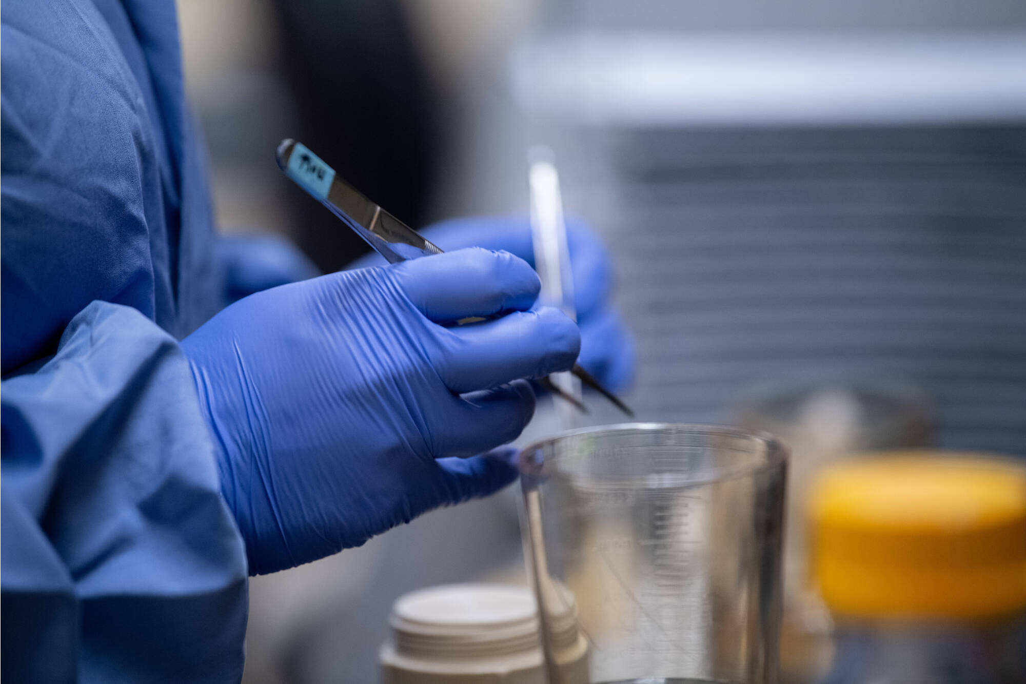 Student preparing filter papers in lab.